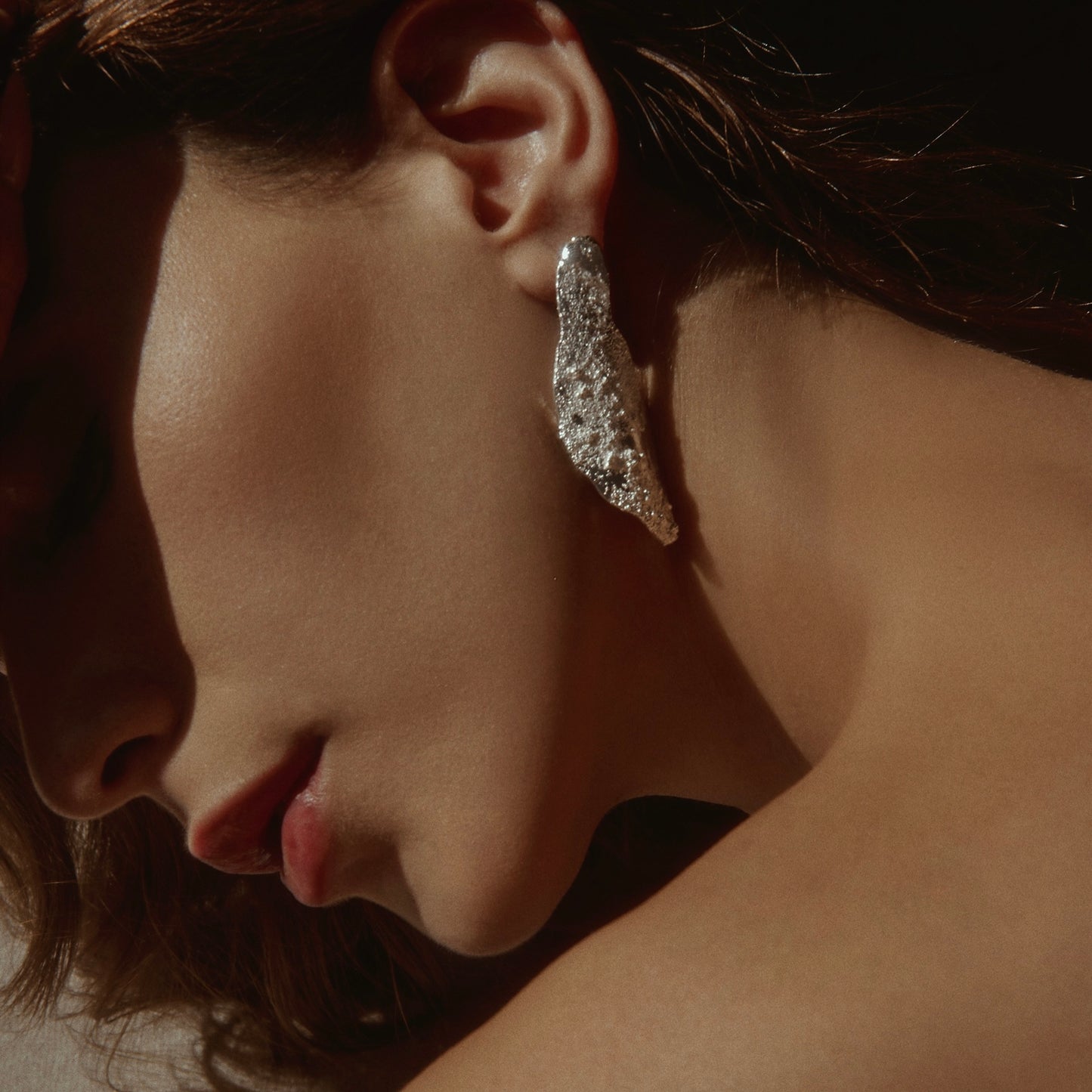 Aretes Heritage Silver