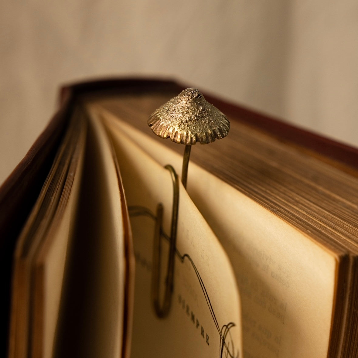 Separador De Libros Aurora Fungi Raw