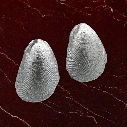 Aretes Abanico Silver