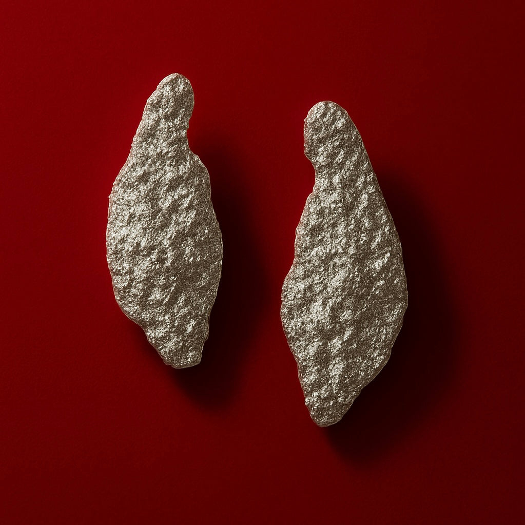 Aretes Heritage Silver